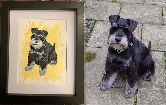 Pet commision - Bertie