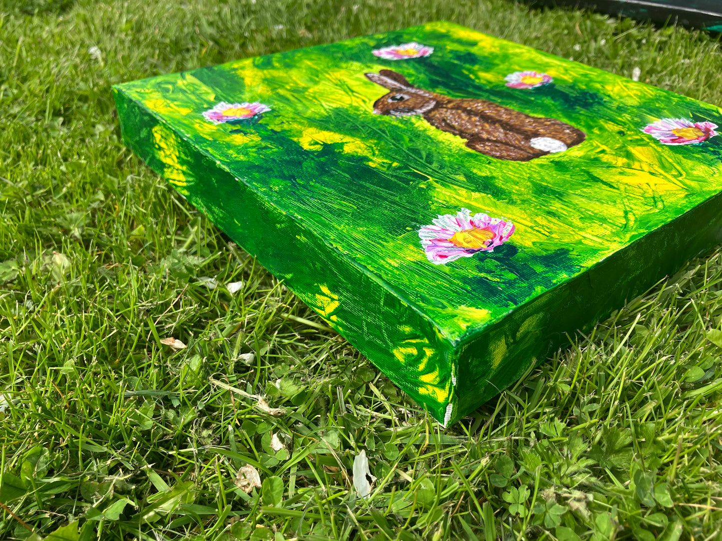 A photo of an acrylic painting on a box canvas of a brown rabbit facing away looking over it's shoulder in a green and yellow field with five white and pink clover flowers. The painting is signed by KtKell in the right hand corner.
